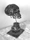 Crâne -(17x20x30 cm)-2006-